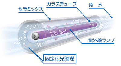 ESSイメージ